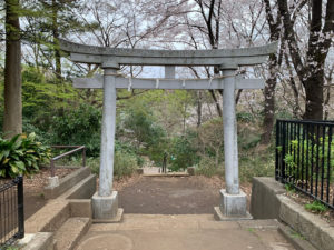 厳島神社（弁天さま）鳥居。桜の咲いた枝が迎えてくれます